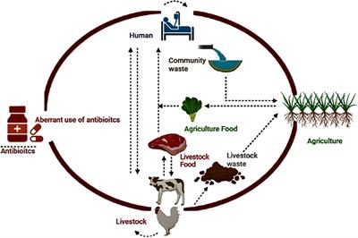 The antibiotics that we distribute are effective in combating a wide range of bacterial infections,