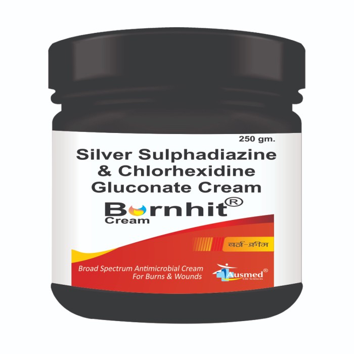 BURNHIT 250 GM