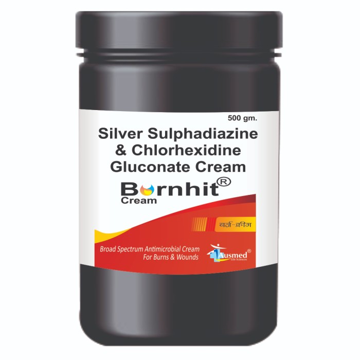 BURNHIT 500 GM