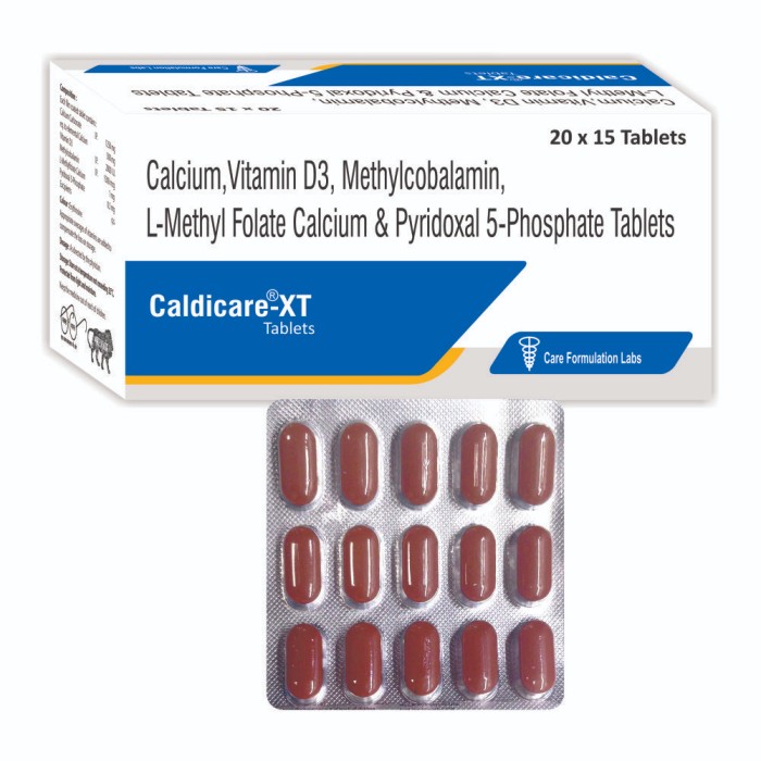 CALDICARE XT