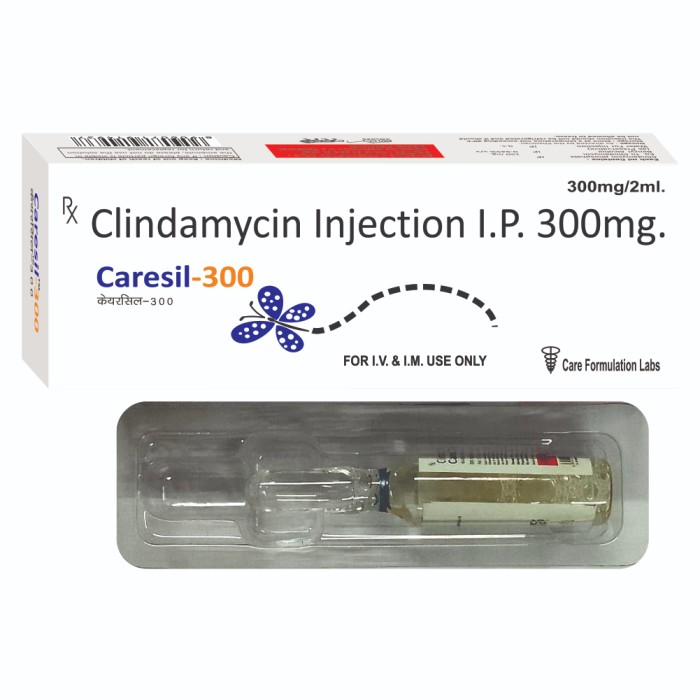 CARESIL 300 INJECTION