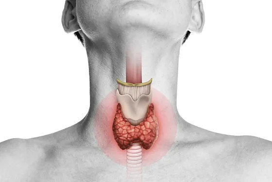 Endocrinology Medicines Trader in India