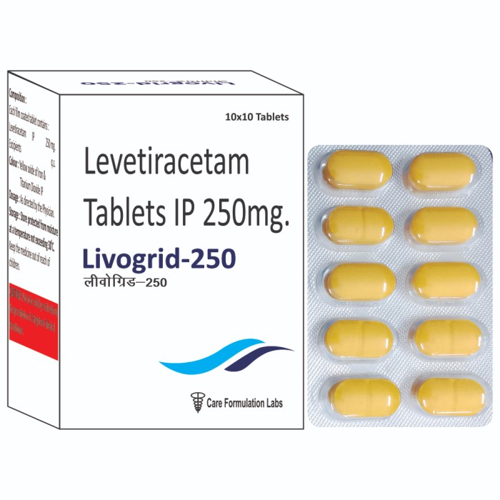 LIVOGRID 250