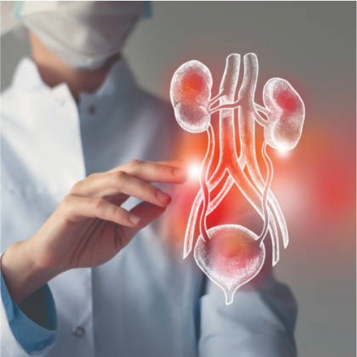 Urology / Nephrology Medicines Trader in India 