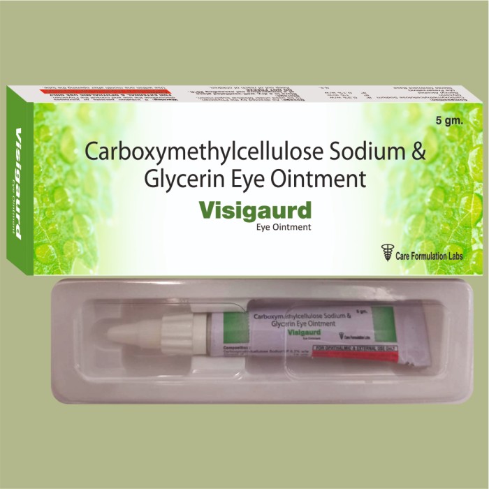 VISIGUARD